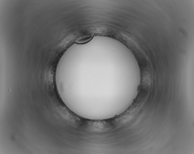 X0000111450282200907271237