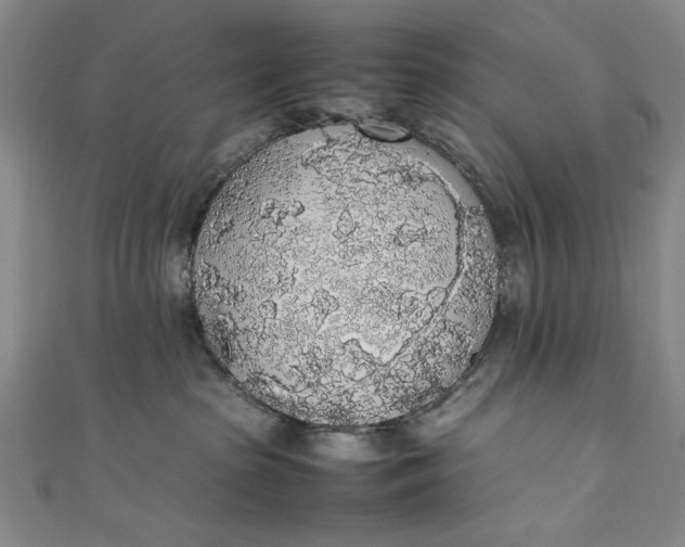 X0000111450285200907271237