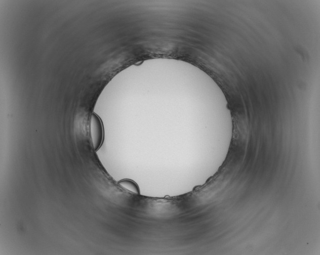 X0000111450287200907271237