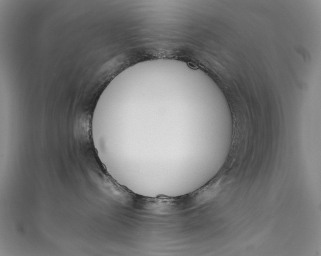 X0000111450288200907271237