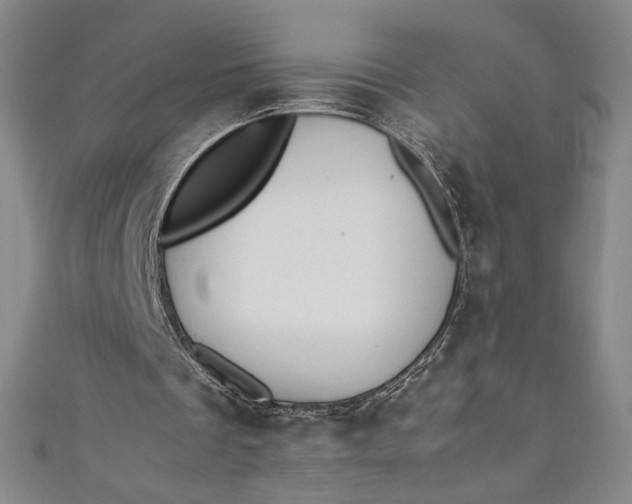 X0000111450289200907271236