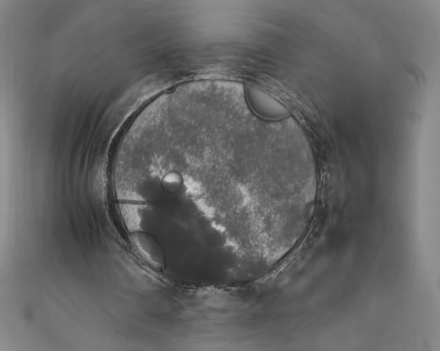 X0000111450290200907271236
