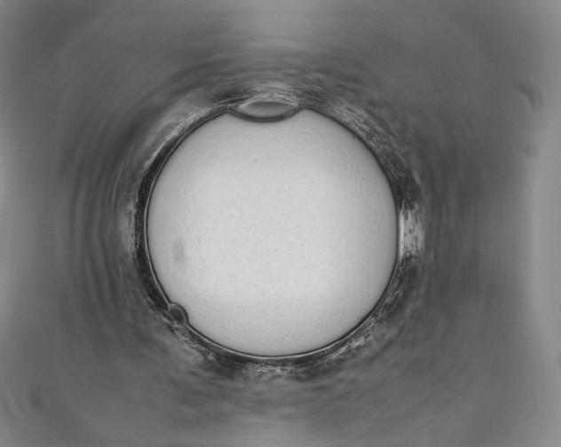 X0000111450291200907271236