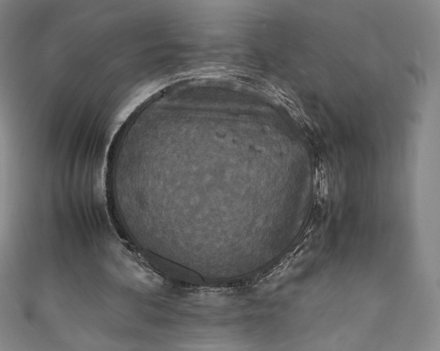 X0000111450292200907271236