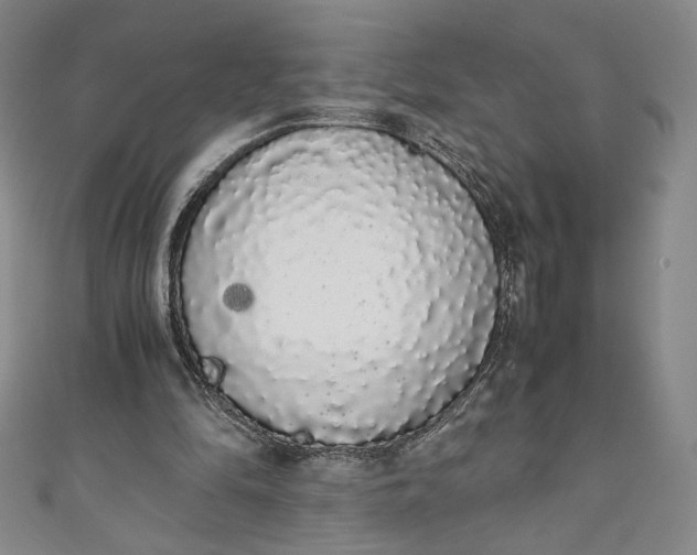 X0000111450294200907271236