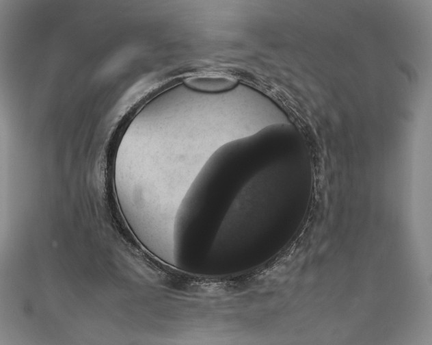 X0000111450295200907271236