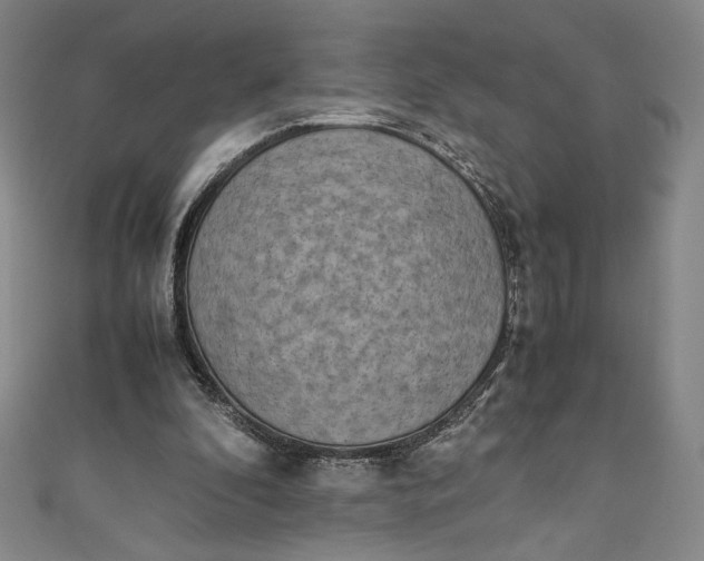 X0000111450296200907271236