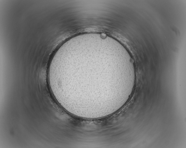 X0000111450297200907271236