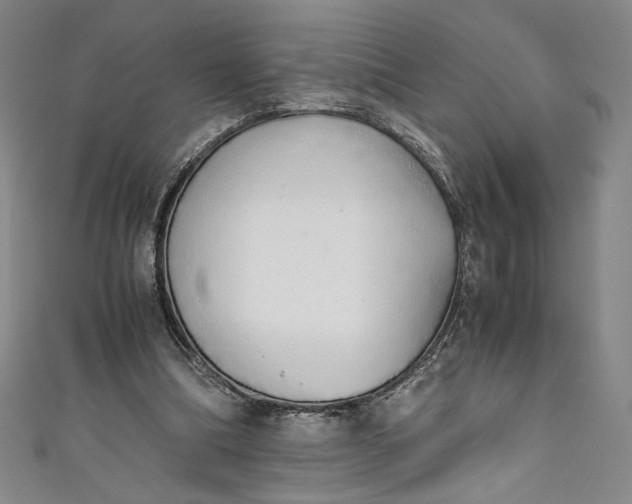 X0000111450298200907271236