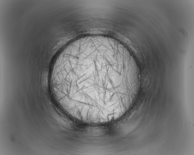 X0000111450299200907271236