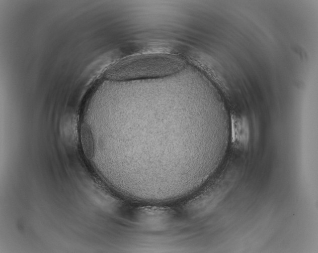 X0000111450300200907271236
