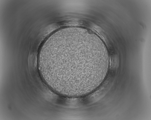 X0000111450301200907271236