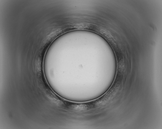 X0000111450303200907271236
