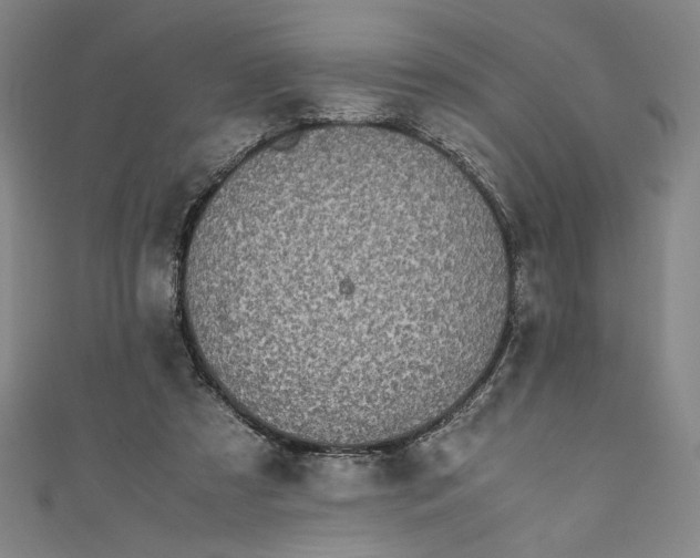 X0000111450305200907271236