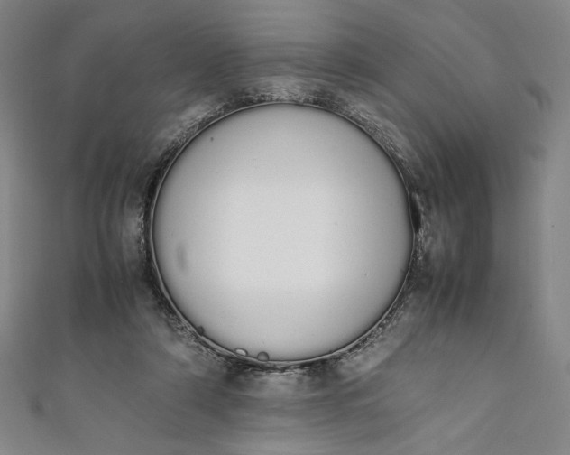 X0000111450306200907271236