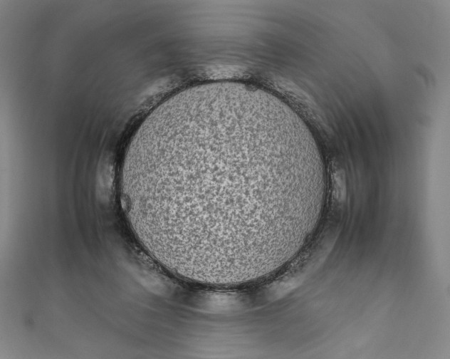 X0000111450308200907271236