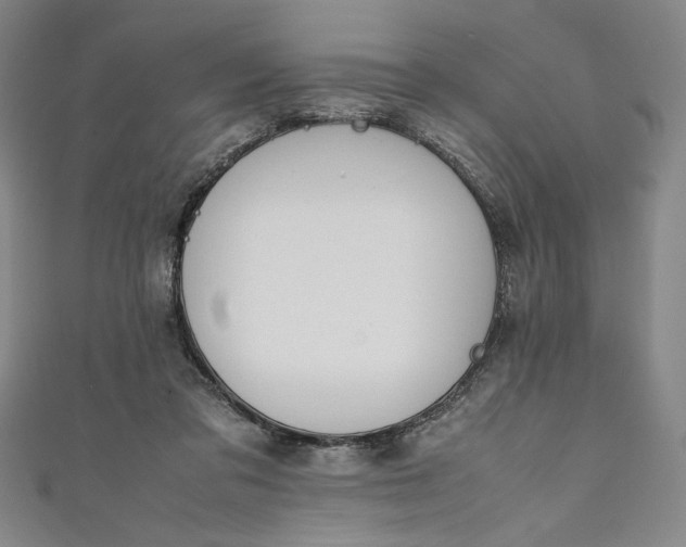 X0000111450309200907271236