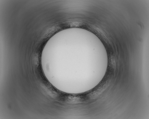 X0000111450311200907271236
