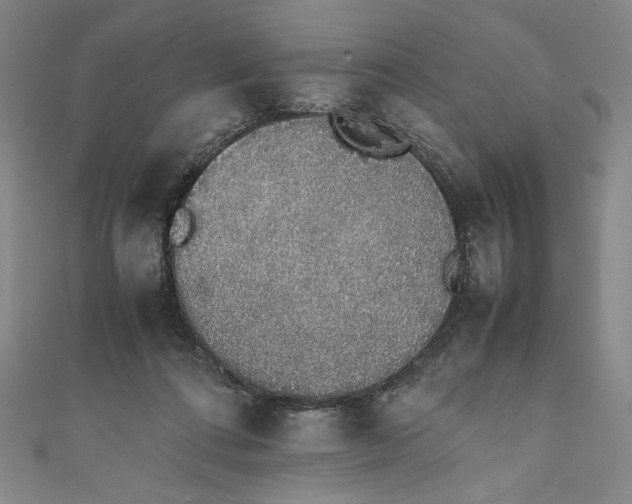 X0000111450312200907271236