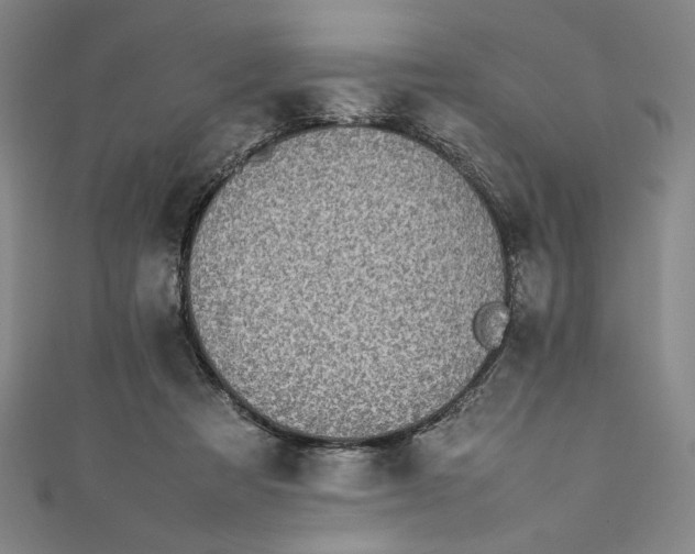 X0000111450313200907271236