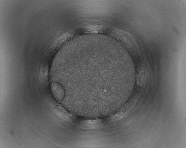 X0000111450314200907271236