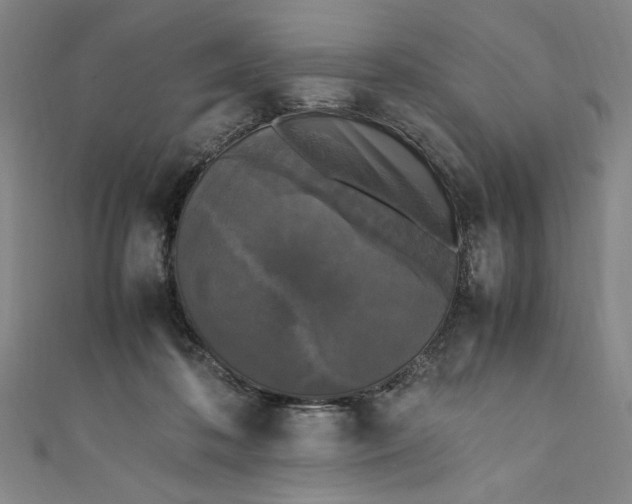 X0000111450316200907271236