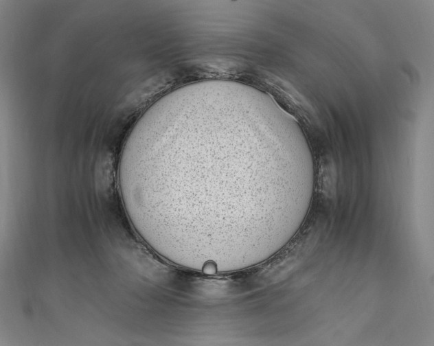 X0000111450318200907271236