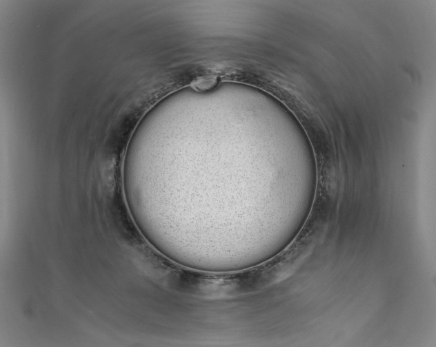X0000111450319200907271236