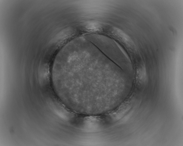 X0000111450320200907271236