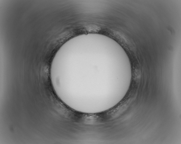 X0000111450321200907271236
