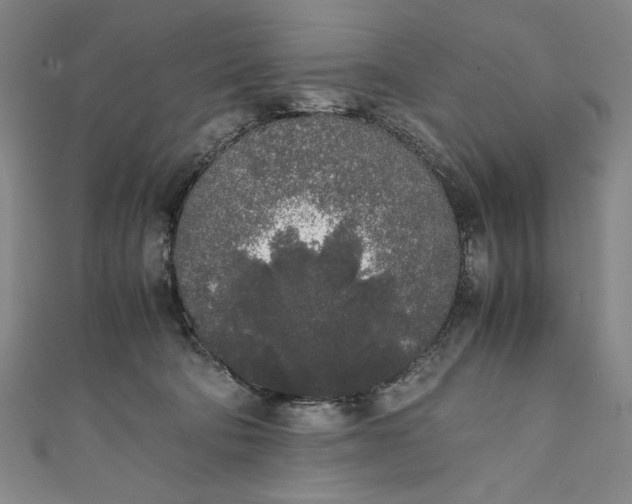 X0000111450322200907271236