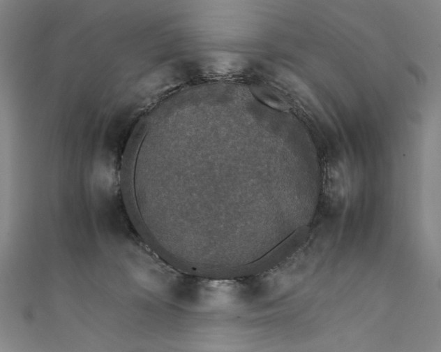X0000111450324200907271236