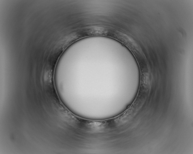 X0000111450326200907271236