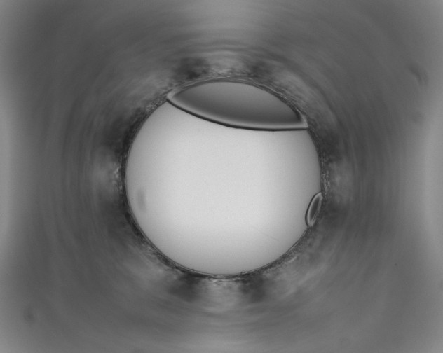 X0000111450327200907271236