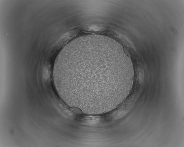 X0000111450328200907271236