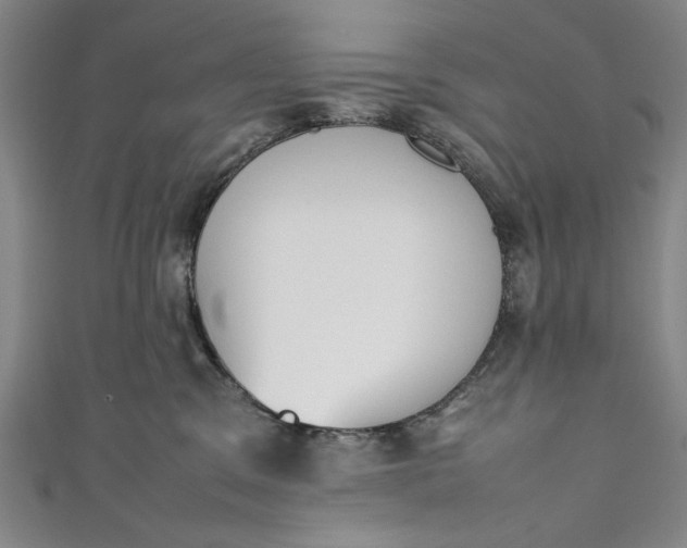 X0000111450329200907271236