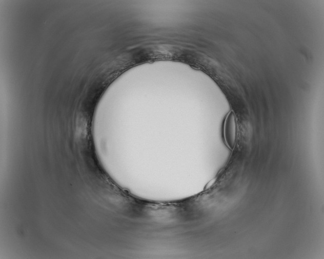 X0000111450331200907271236