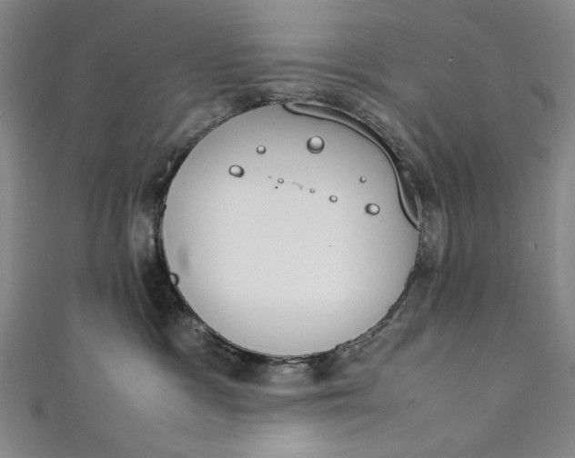 X0000111450333200907271235