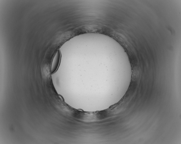 X0000111450335200907271235
