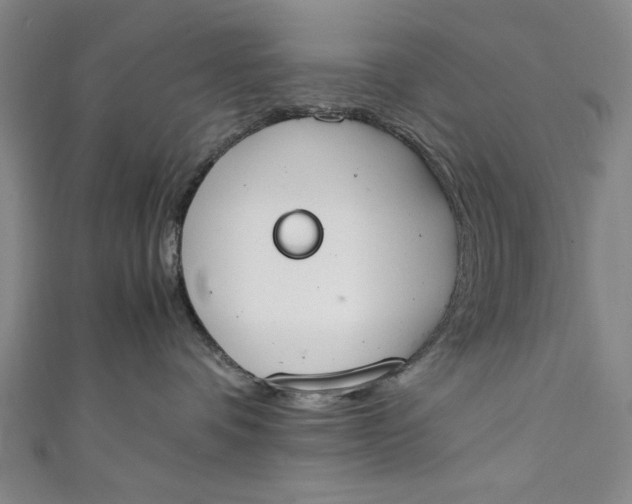 X0000111450336200907271235