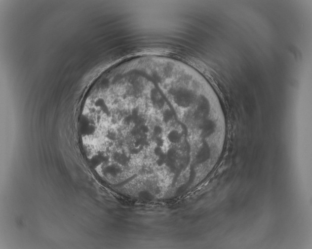 X0000111450337200907271235