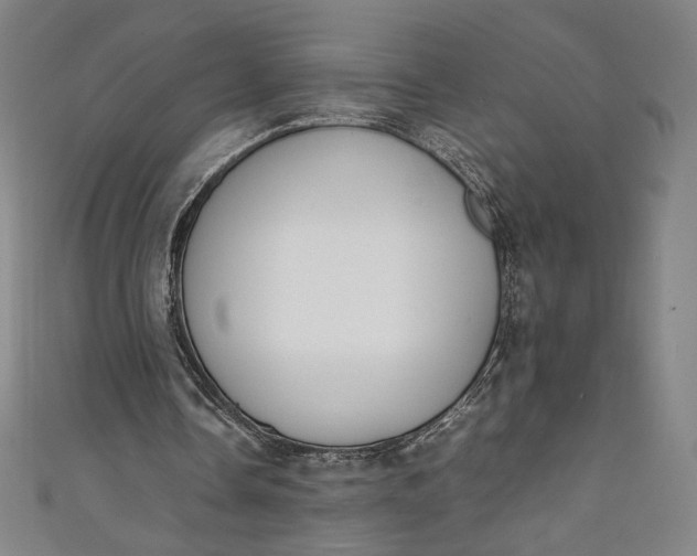 X0000111450338200907271235