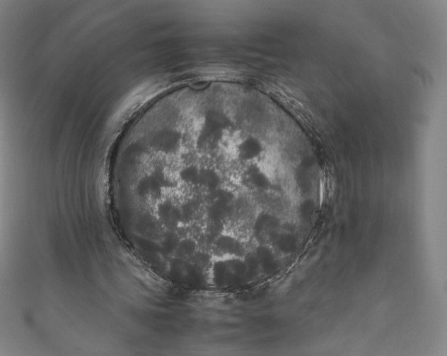 X0000111450339200907271235