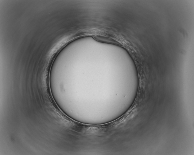 X0000111450341200907271235