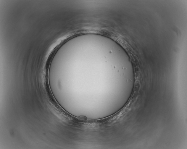 X0000111450342200907271235
