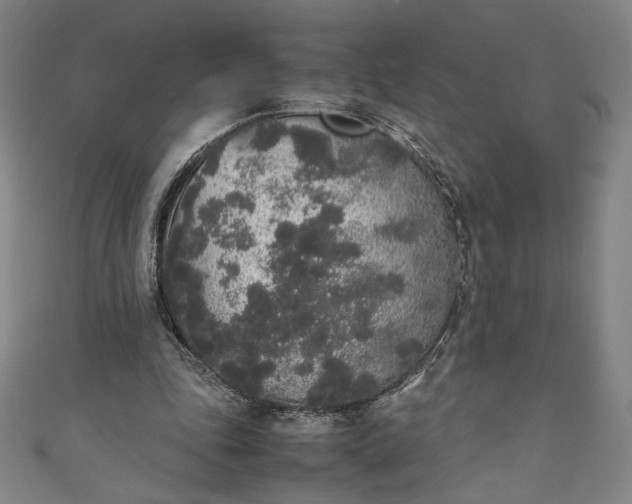 X0000111450343200907271235