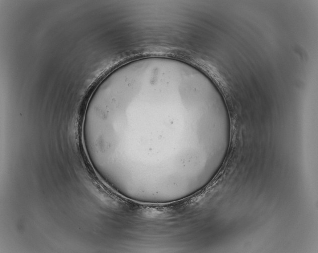 X0000111450346200907271235