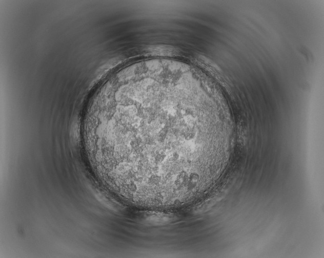 X0000111450347200907271235