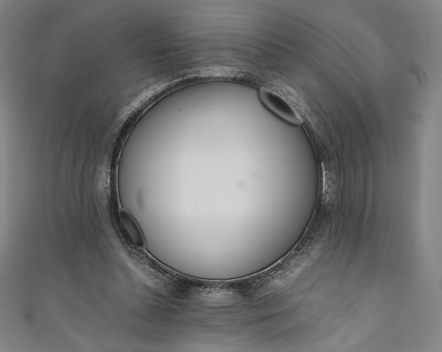 X0000111450348200907271235