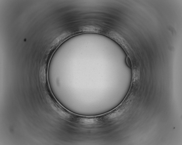 X0000111450349200907271235